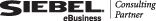 Siebel eBusiness Consulting Partner